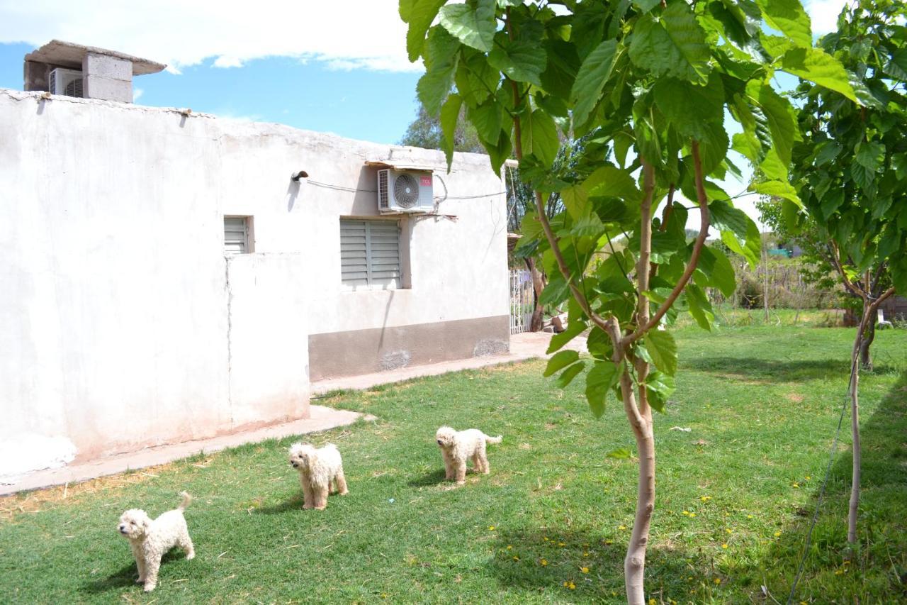 Hospedaje Las Termas Fiambala Exteriér fotografie